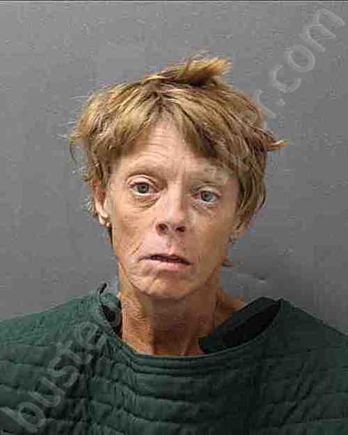 Booking photo of Melissa Smiley
