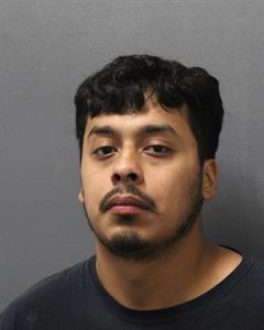 Mugshot of JONAS MEDINA
